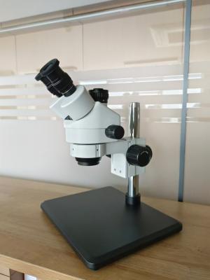 stereo microscope